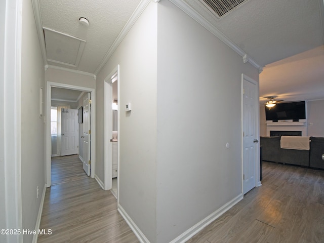 hallway with hardwood / wood-style flooring, crown molding, and a textured ceiling