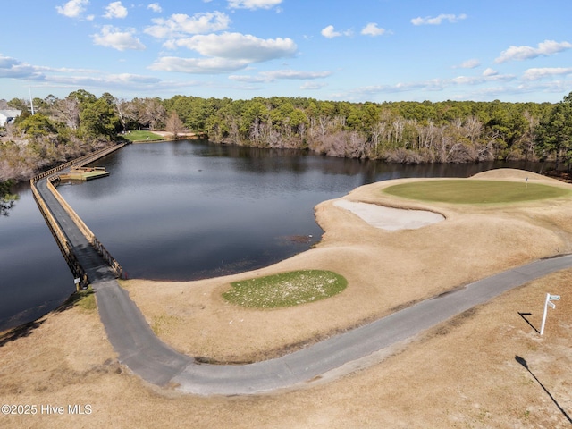 6148 Sugar Pine Dr, Wilmington, NC 28412 - water view