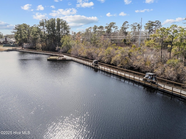 6148 Sugar Pine Dr, Wilmington, NC 28412 - water view