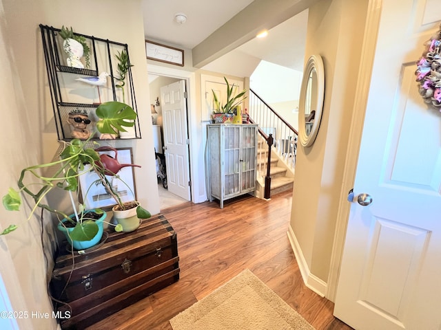 entryway with wood-type flooring and beam ceiling