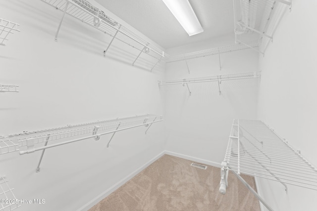 spacious closet with carpet