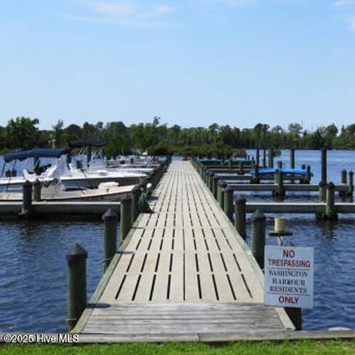 dock area with a water view