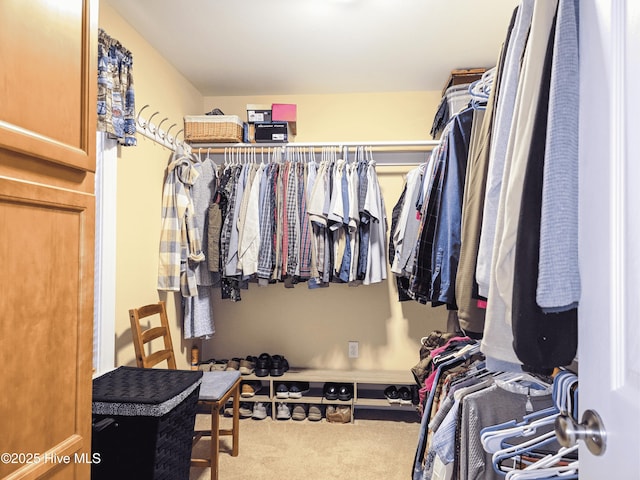 spacious closet with carpet flooring