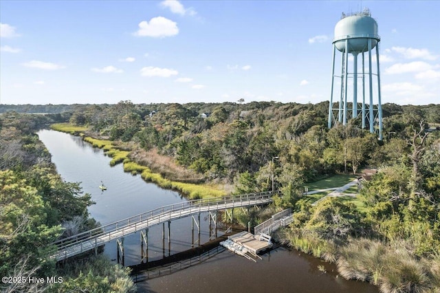 bird's eye view with a forest view and a water view