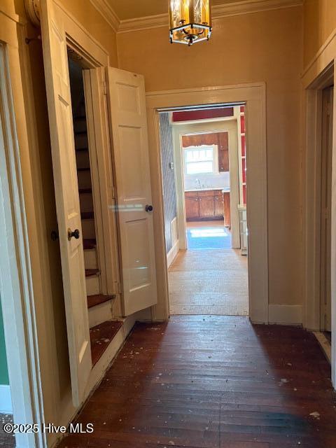 corridor with ornamental molding, dark wood-type flooring, and a notable chandelier