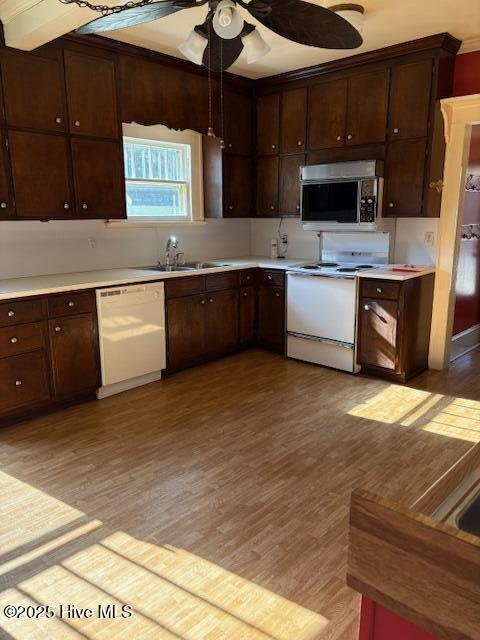 kitchen featuring white appliances, dark brown cabinetry, sink, and light hardwood / wood-style flooring