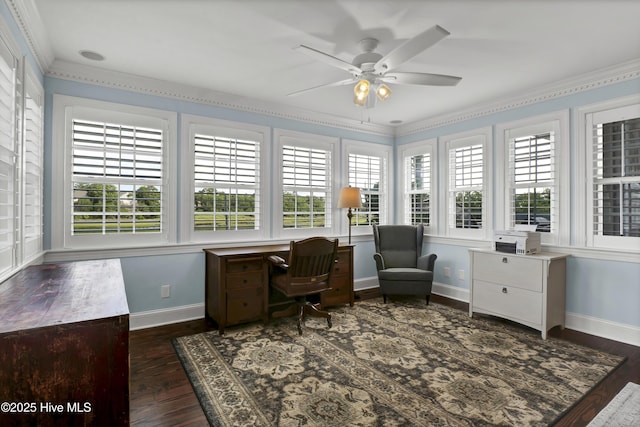 office area featuring ceiling fan and dark hardwood / wood-style flooring