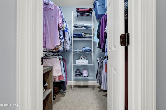 view of spacious closet