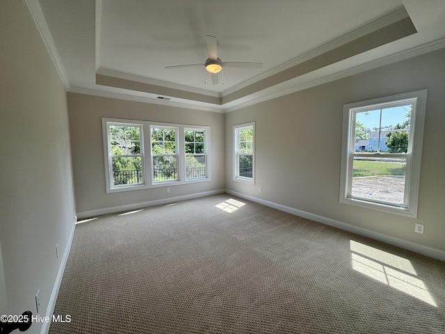 spare room featuring a ceiling fan, crown molding, a raised ceiling, baseboards, and carpet
