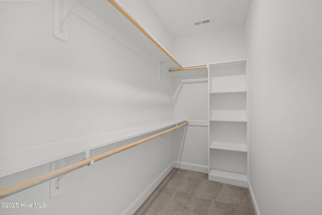 walk in closet featuring carpet floors and visible vents