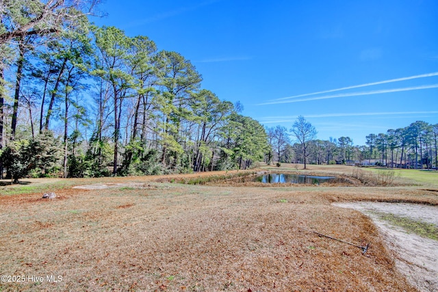 view of yard featuring a water view