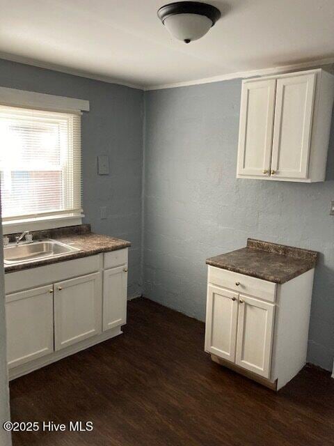 kitchen with white cabinetry, dark wood-type flooring, and sink