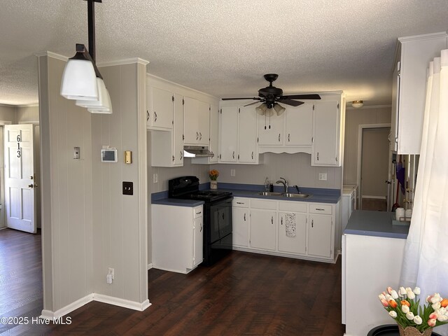 613 Sexton Ave, Zebulon, NC 27597 - kitchen featuring a ceiling fan, under cabinet range hood, a sink, dark wood-style floors, and electric range