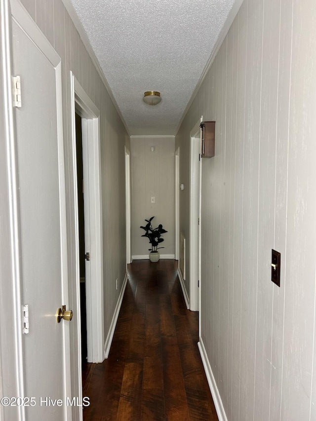 613 Sexton Ave, Zebulon, NC 27597 - hallway with crown molding, wood finished floors, and a textured ceiling