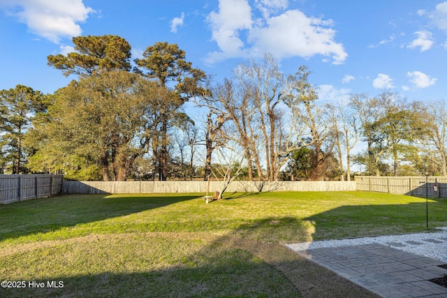 1810 Paulette Rd, Morehead City, NC 28557 - view of yard