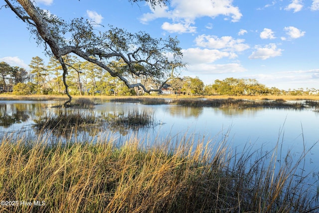 1810 Paulette Rd, Morehead City, NC 28557 - water view