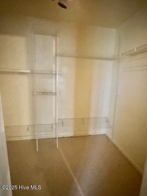 view of walk in closet