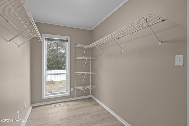 806 Lord Granville Dr, Morehead City, NC 28557 - walk in closet with wood finished floors