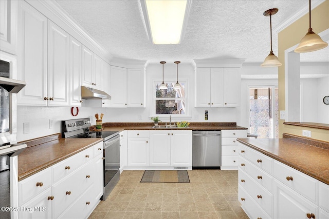 kitchen with under cabinet range hood, stainless steel appliances, a sink, white cabinets, and dark countertops