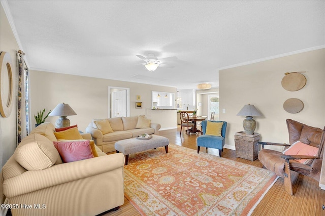 living area featuring baseboards, ceiling fan, ornamental molding, wood finished floors, and a textured ceiling