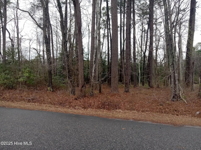 296 Country Club Rd Unit 10, Whiteville NC, 28472 land for sale