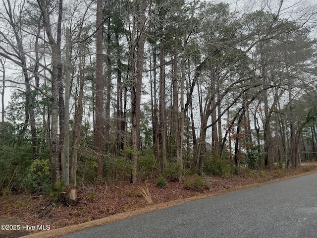 Listing photo 3 for 296 Country Club Rd Unit 10, Whiteville NC 28472