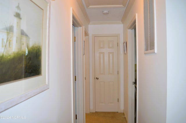 hall featuring light colored carpet and ornamental molding