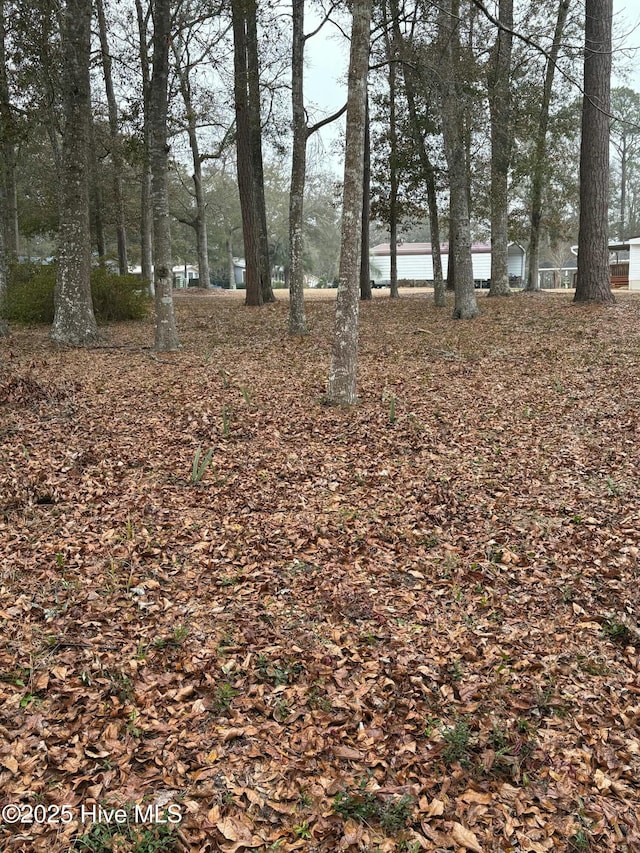 2679 Bluebird Ln SW, Supply NC, 28462 land for sale