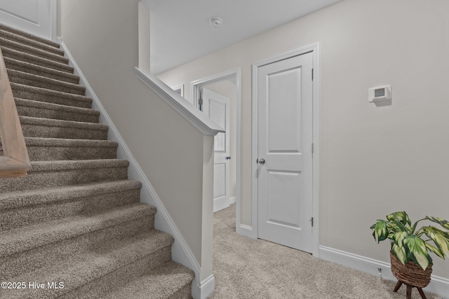 staircase with carpet floors