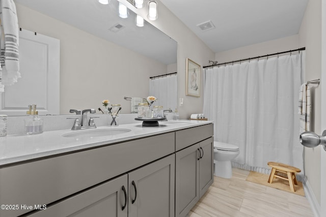 bathroom with toilet and vanity