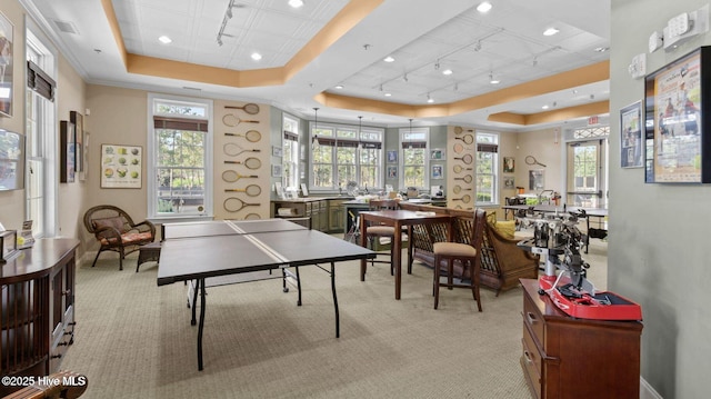 recreation room featuring a tray ceiling, light colored carpet, and track lighting