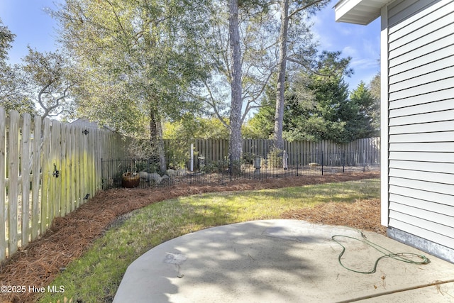 view of yard featuring a patio