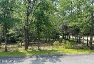 576 Carvalho Ter SE, Bolivia NC, 28422 land for sale