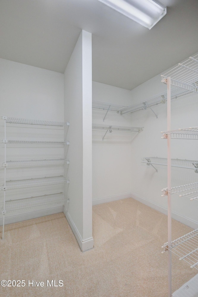 walk in closet with carpet flooring