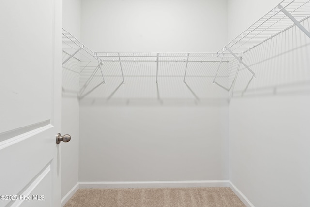 spacious closet with light carpet