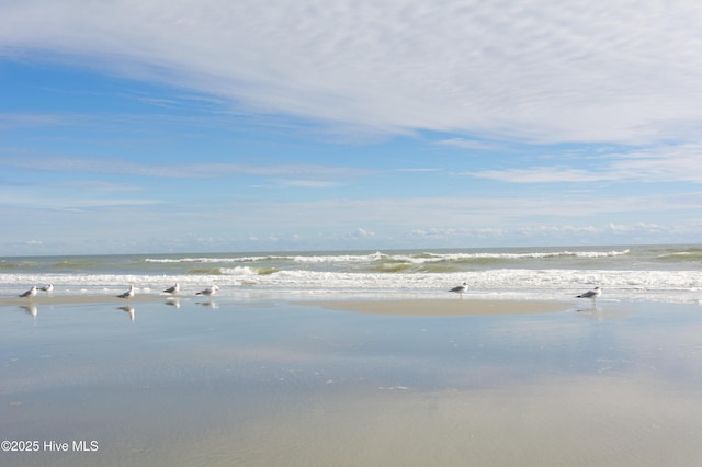 property view of water featuring a beach view