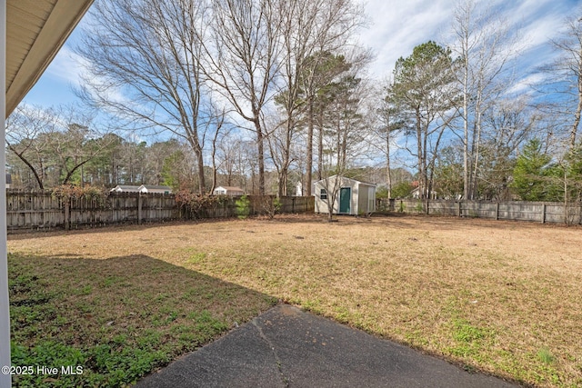 view of yard featuring a storage unit