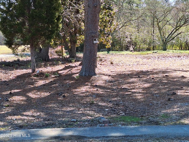 Listing photo 3 for TBD Roberts Rd, Rich Square NC 27869