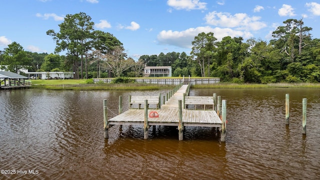 dock area featuring a water view