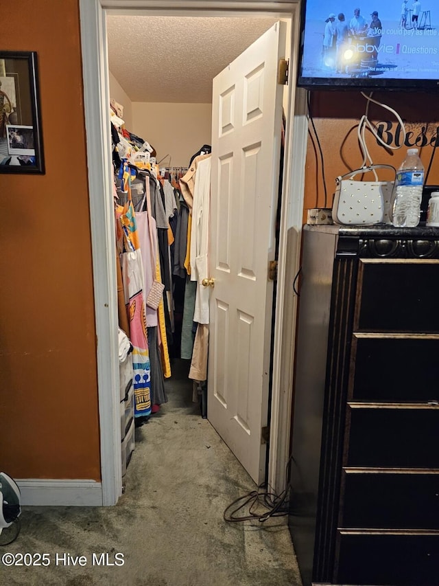 spacious closet featuring carpet