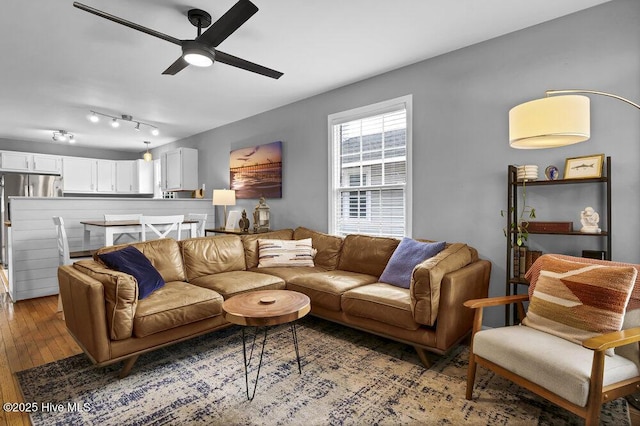 living room with ceiling fan and wood-type flooring