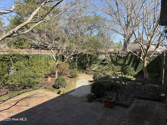 view of yard with a patio area and a fenced backyard