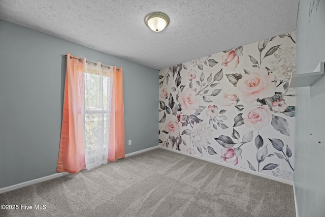 spare room with baseboards, a textured ceiling, and carpet floors