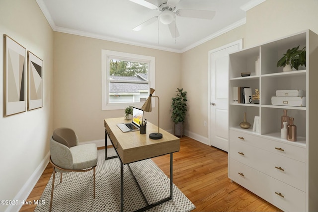 office featuring crown molding, ceiling fan, and light hardwood / wood-style floors