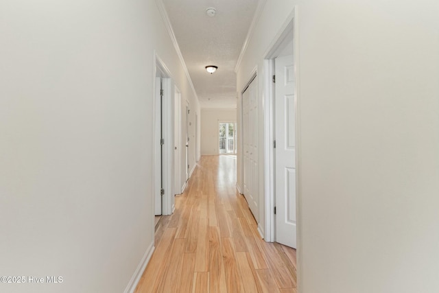 hall with crown molding and light hardwood / wood-style flooring