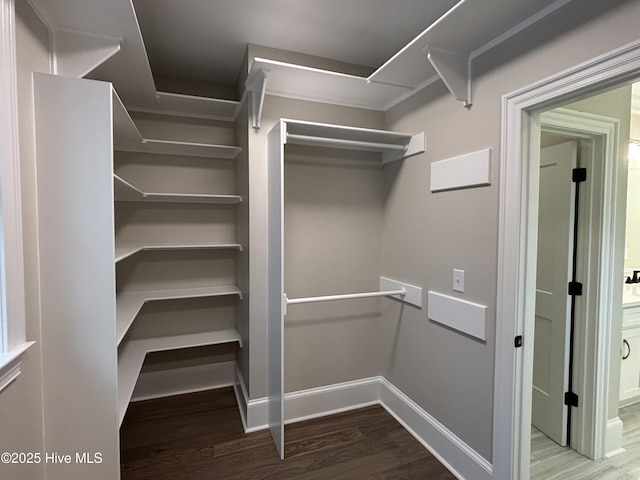 walk in closet featuring wood finished floors