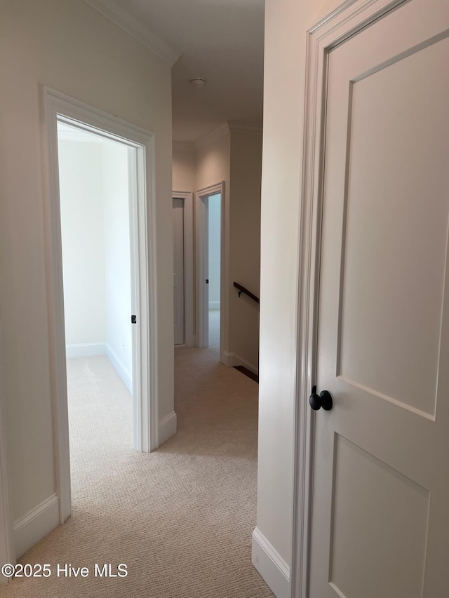 hall with carpet floors, ornamental molding, and baseboards