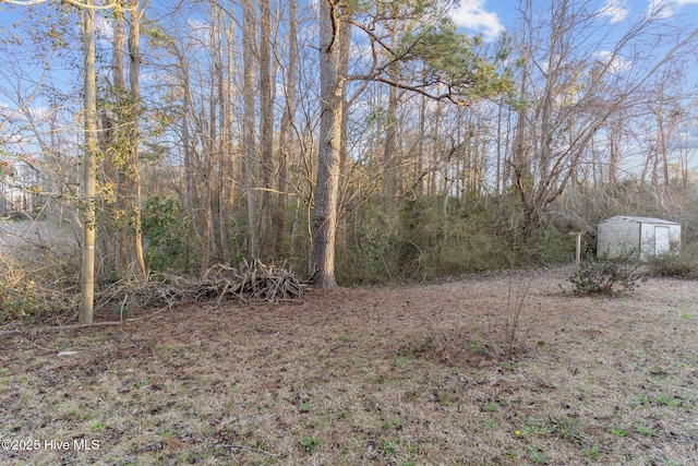 318 Locks No 1 Rd, Riegelwood, NC 28456 - view of nature