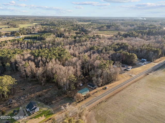 318 Locks No 1 Rd, Riegelwood, NC 28456 - drone / aerial view