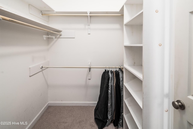 spacious closet featuring light carpet